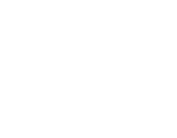 Bulenox logo